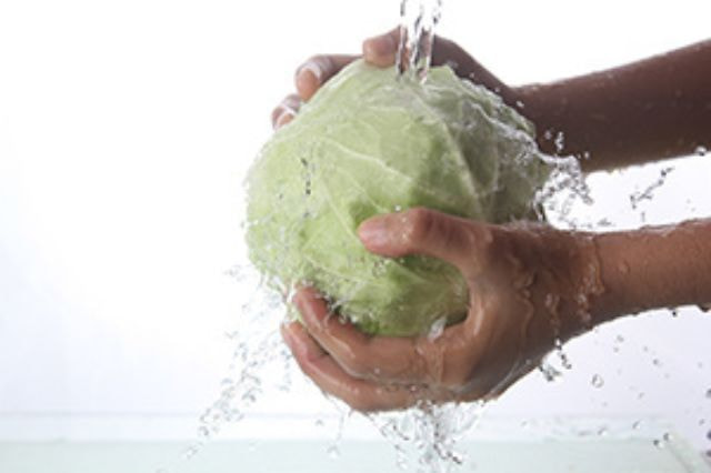 人体に安全な弱酸性次亜塩素酸水CELAセラ水で食材の水洗い洗浄